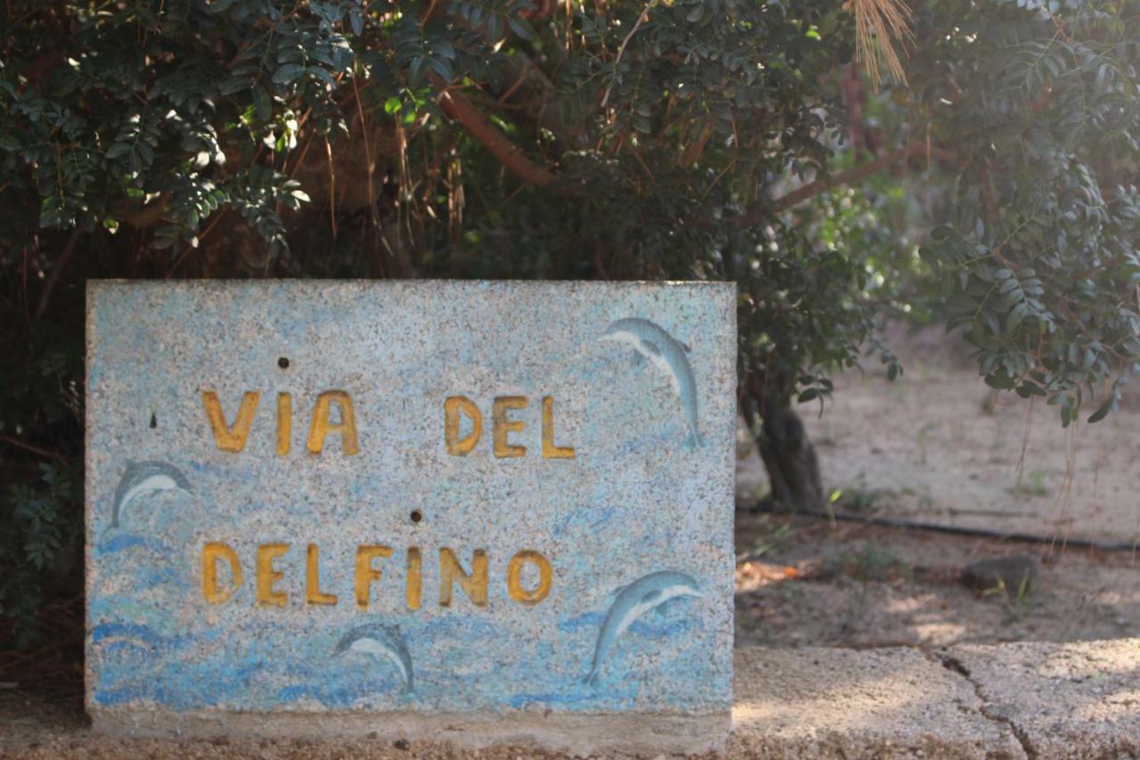 Flamingos In The Desert Villasimius Buitenkant foto